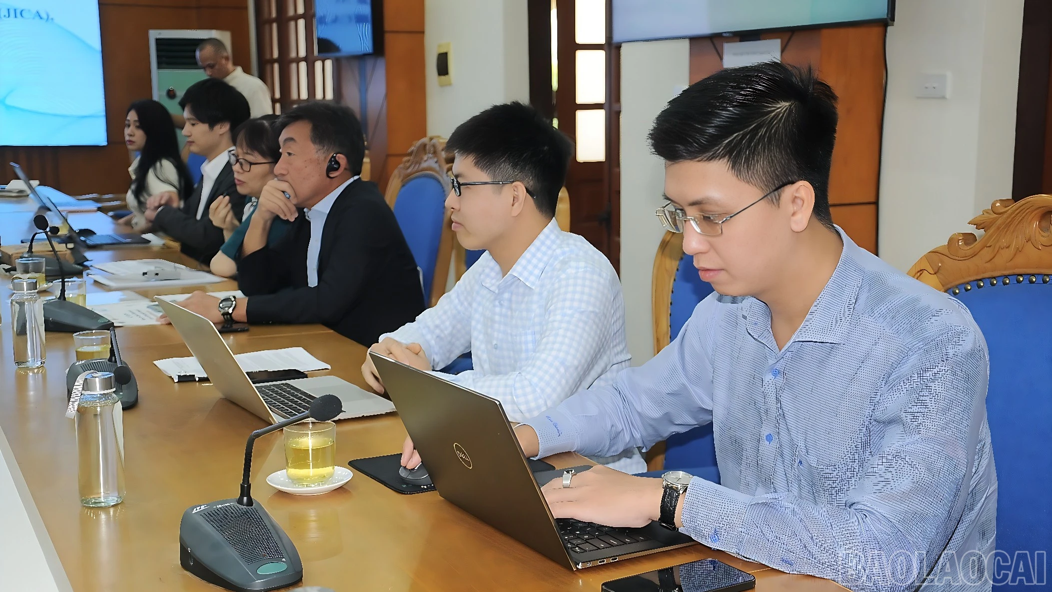 baolaocai-br_duc-4467-5762.jpg