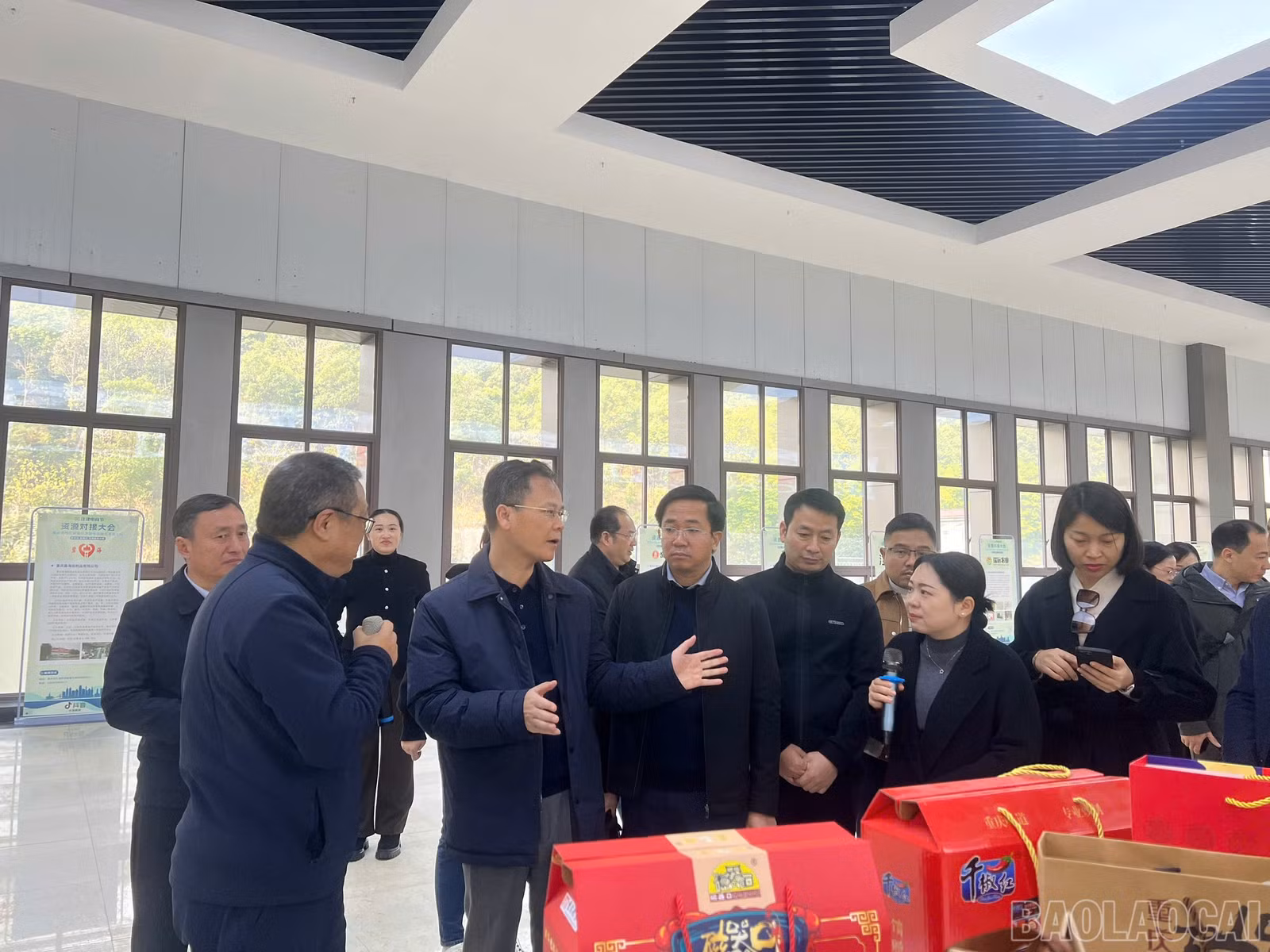 baolaocai-br_2328680674272806134.jpg