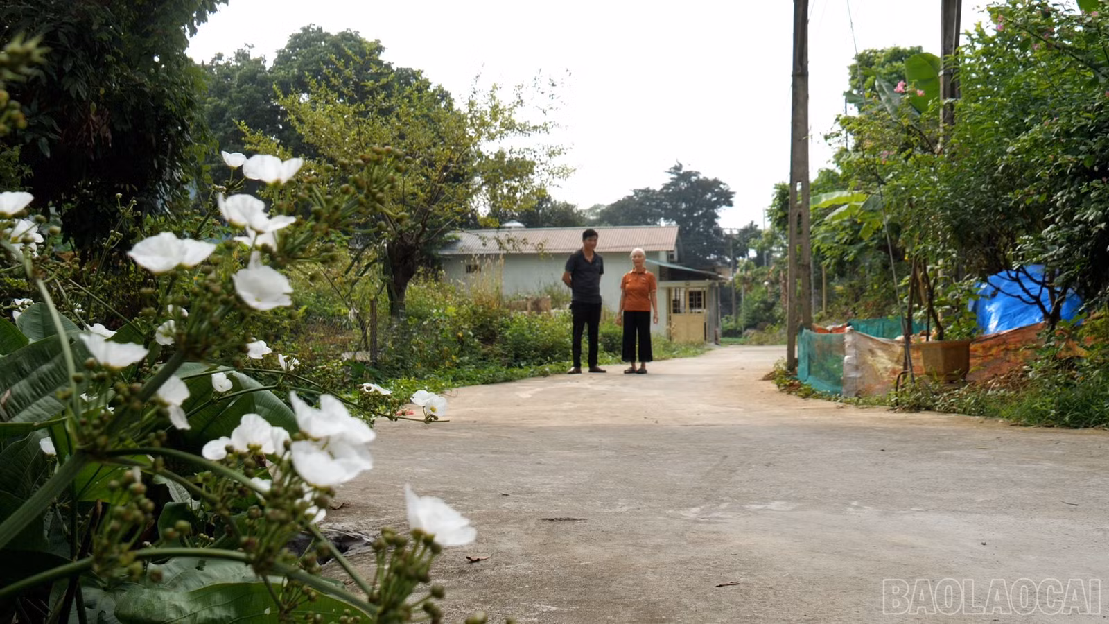 baolaocai-br_duong-sat00-26-39-23still005.jpg