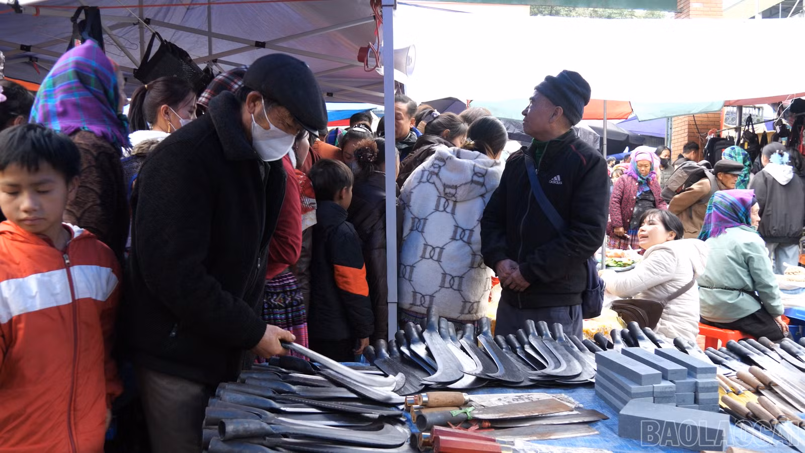 baolaocai-br_p116426100-10-30-44still007.png