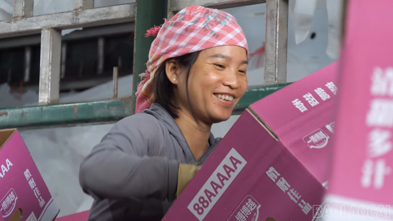 baolaocai-br_lao-dong-sau-tet00-07-02-16still004.png