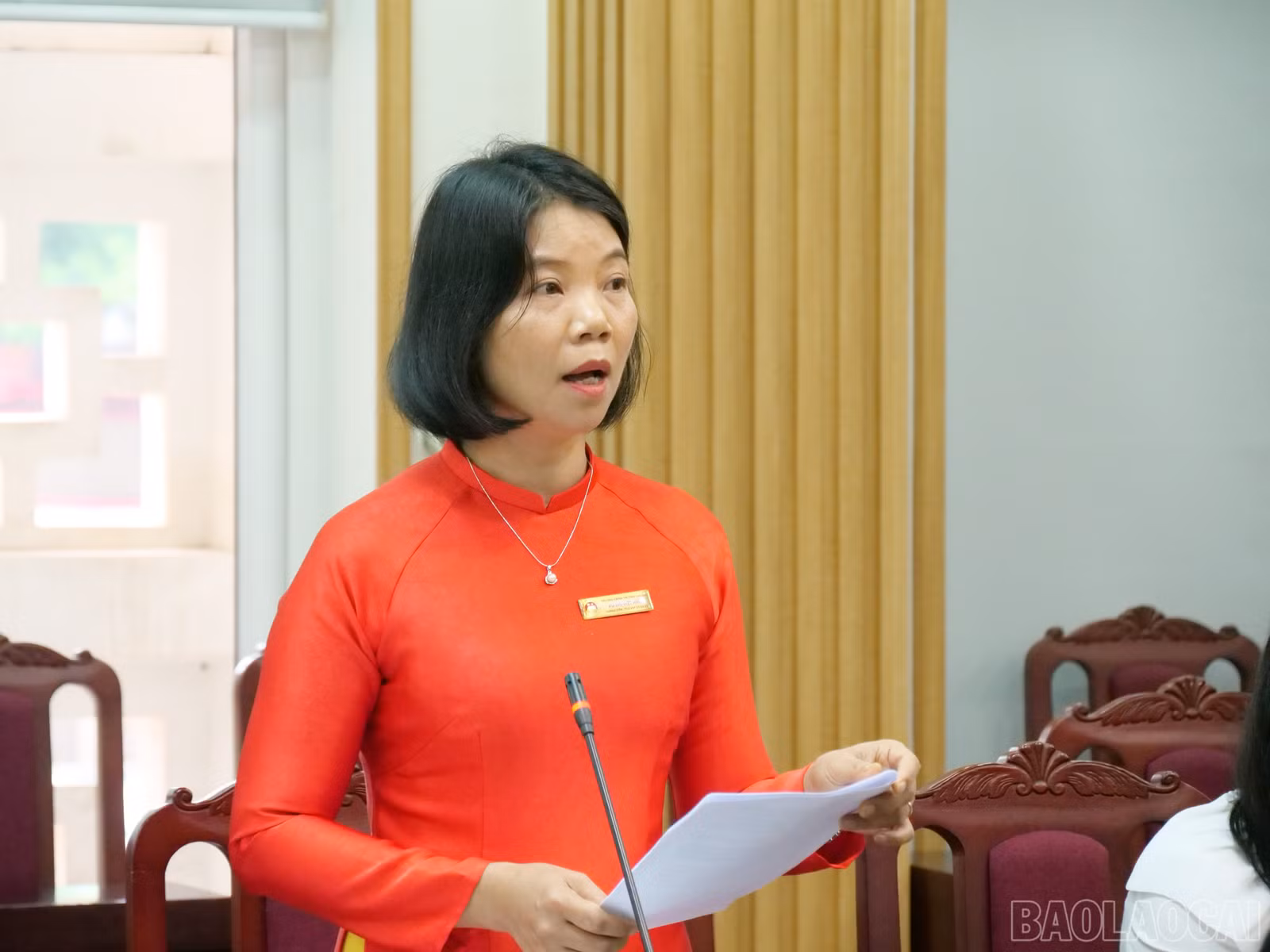 baolaocai-br_p1175208.jpg