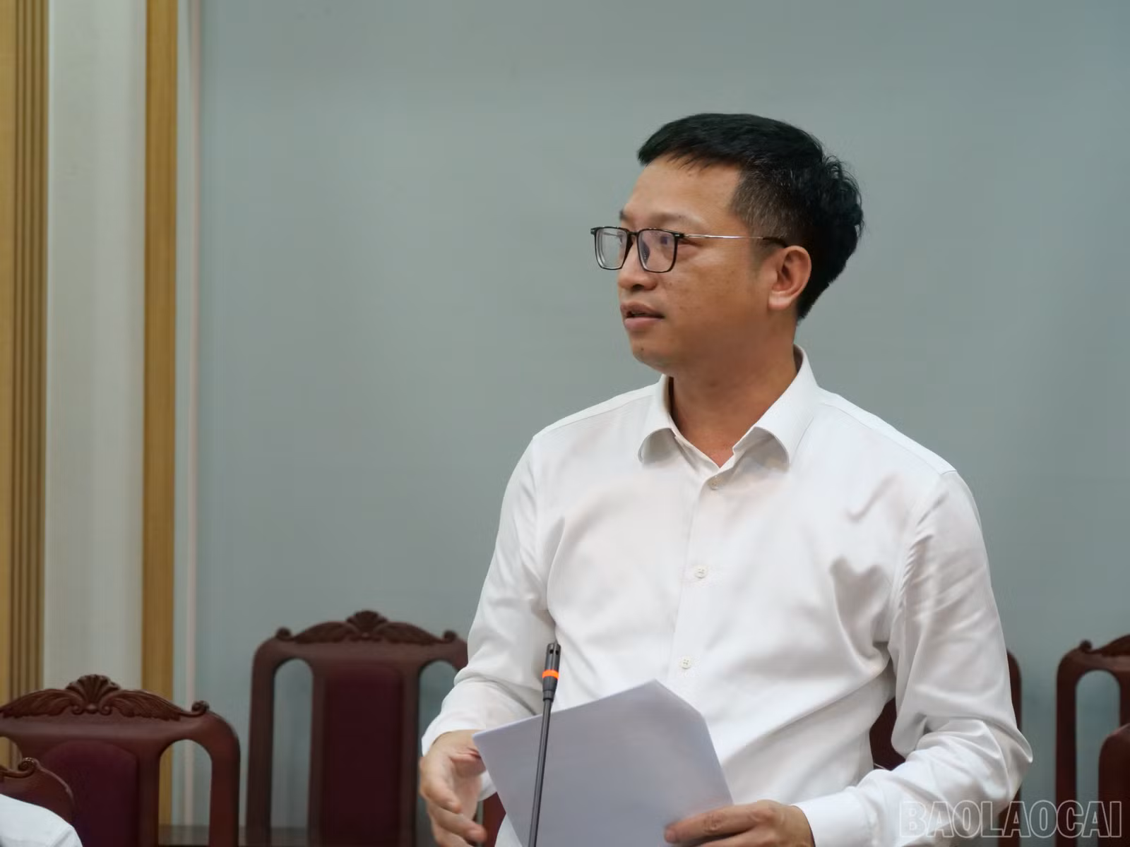 baolaocai-br_p1175190.jpg