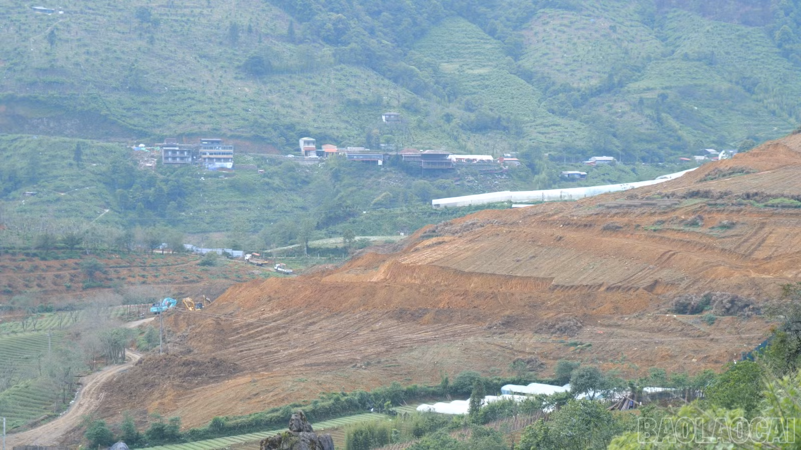 baolaocai-br_cam-diio00-07-45-58still014.png