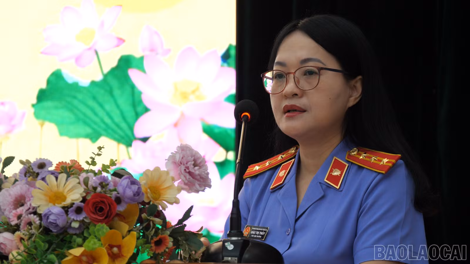 baolaocai-br_anh-vsk1.png