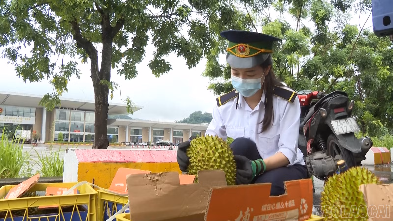 baolaocai-br_the-che00-25-22-19still002.png
