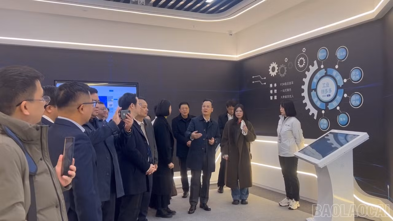 baolaocai-br_138450010220382290100-01-04-13still001.png
