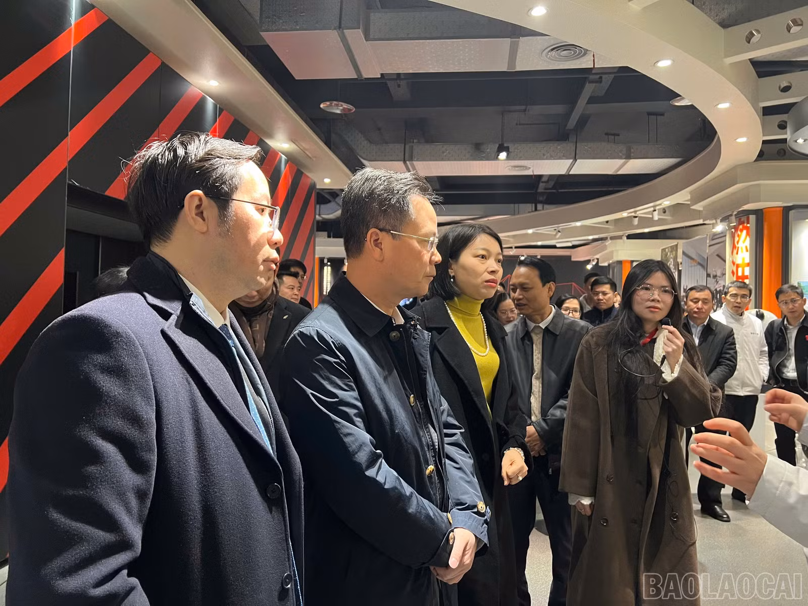 baolaocai-br_328081608912080876838.jpg