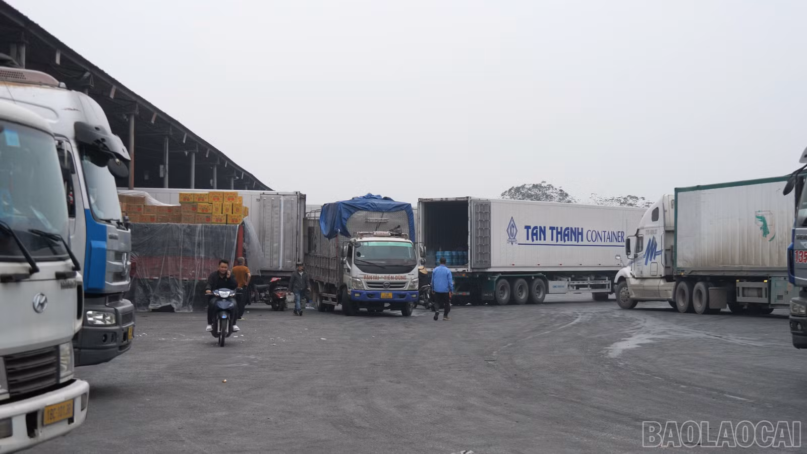 baolaocai-br_thong-quan00-17-42-04still003.png
