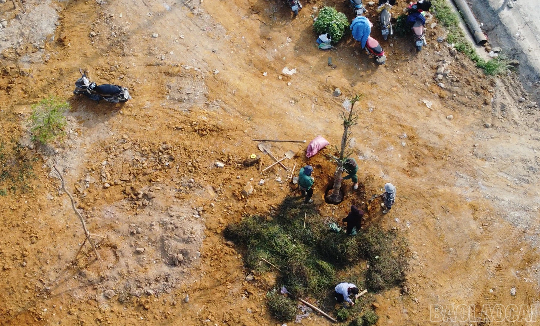 baolaocai-br_dji-0659.jpg