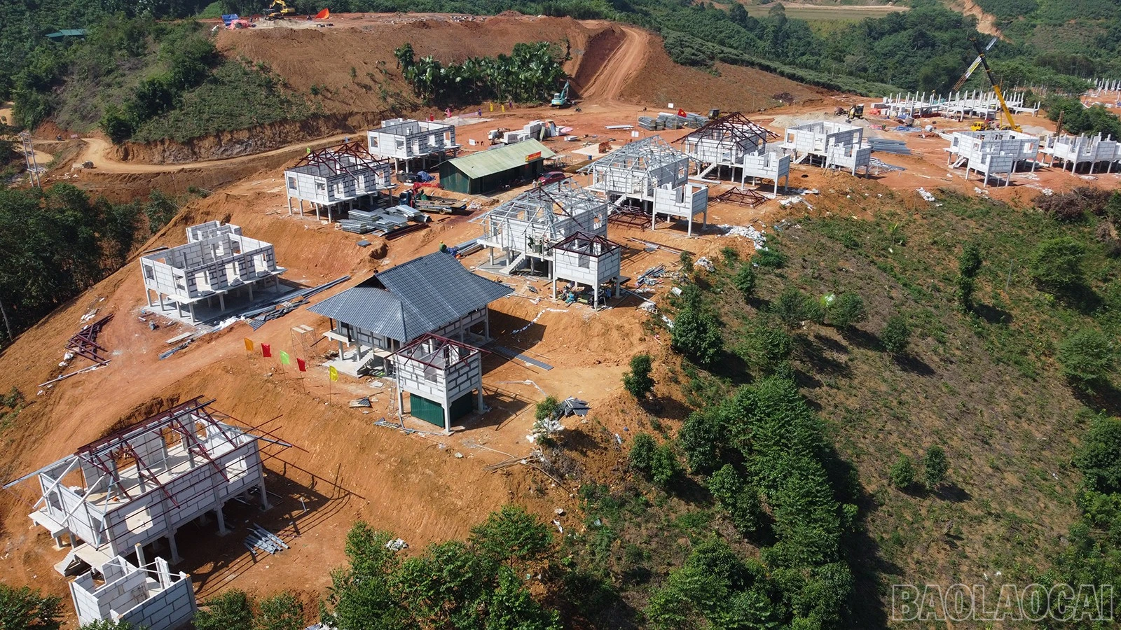 baolaocai-br_dji-0490.jpg