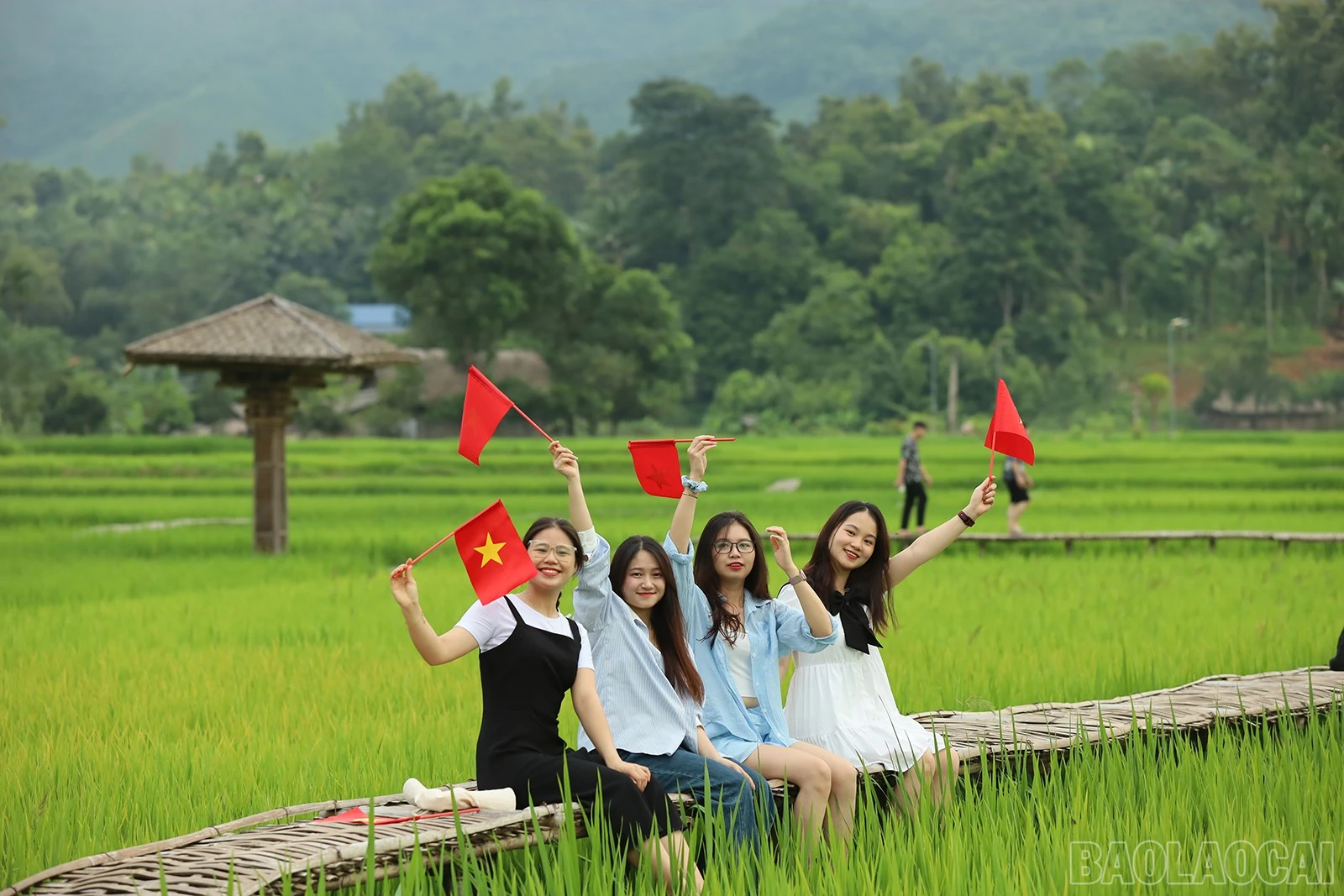 baolaocai-br_img-7616.jpg