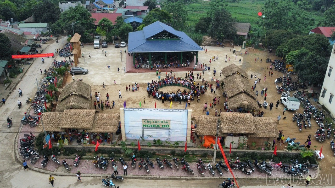 baolaocai-br_z6063195219907-6b884afdf453b0a94d1ac360d818bd73.jpg