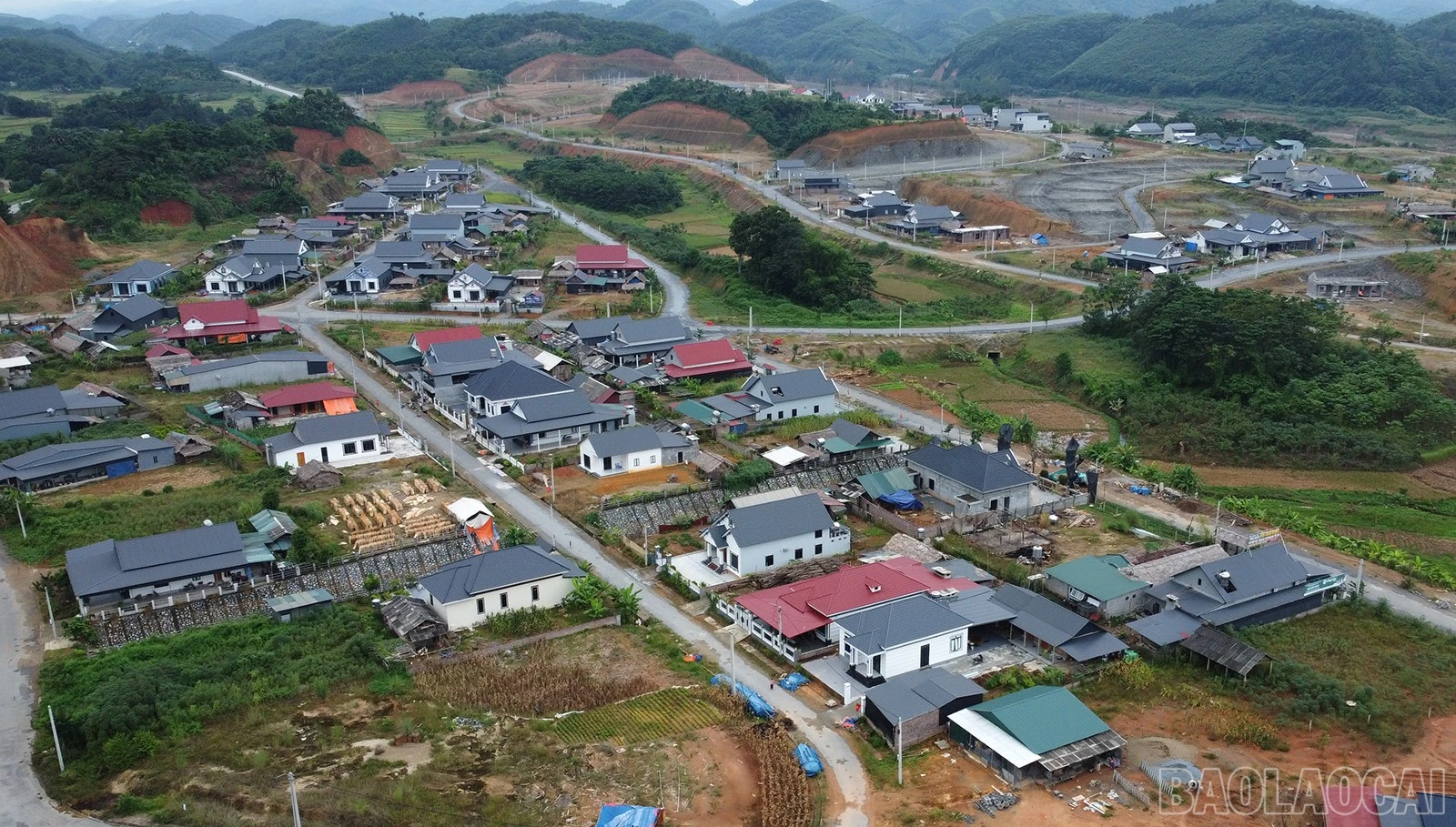 baolaocai-br_dji-0391.jpg