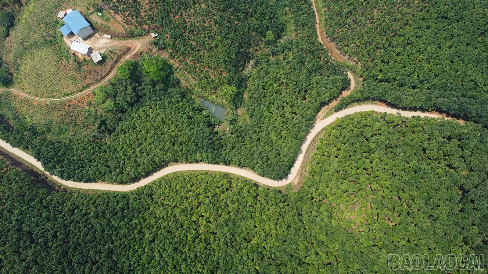 baolaocai-br_dji-0928.jpg