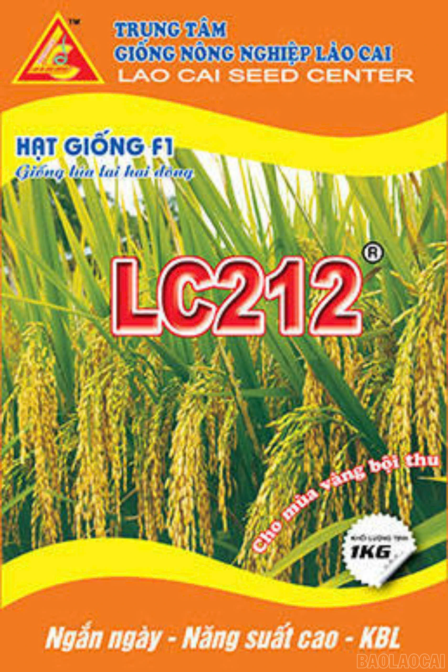 lc-2-1719.jpg