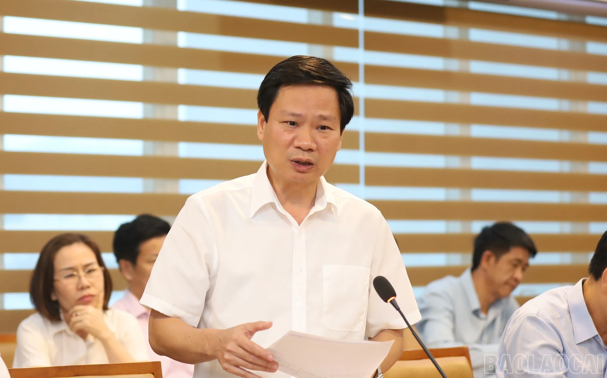baolaocai-br_img-1856.jpg