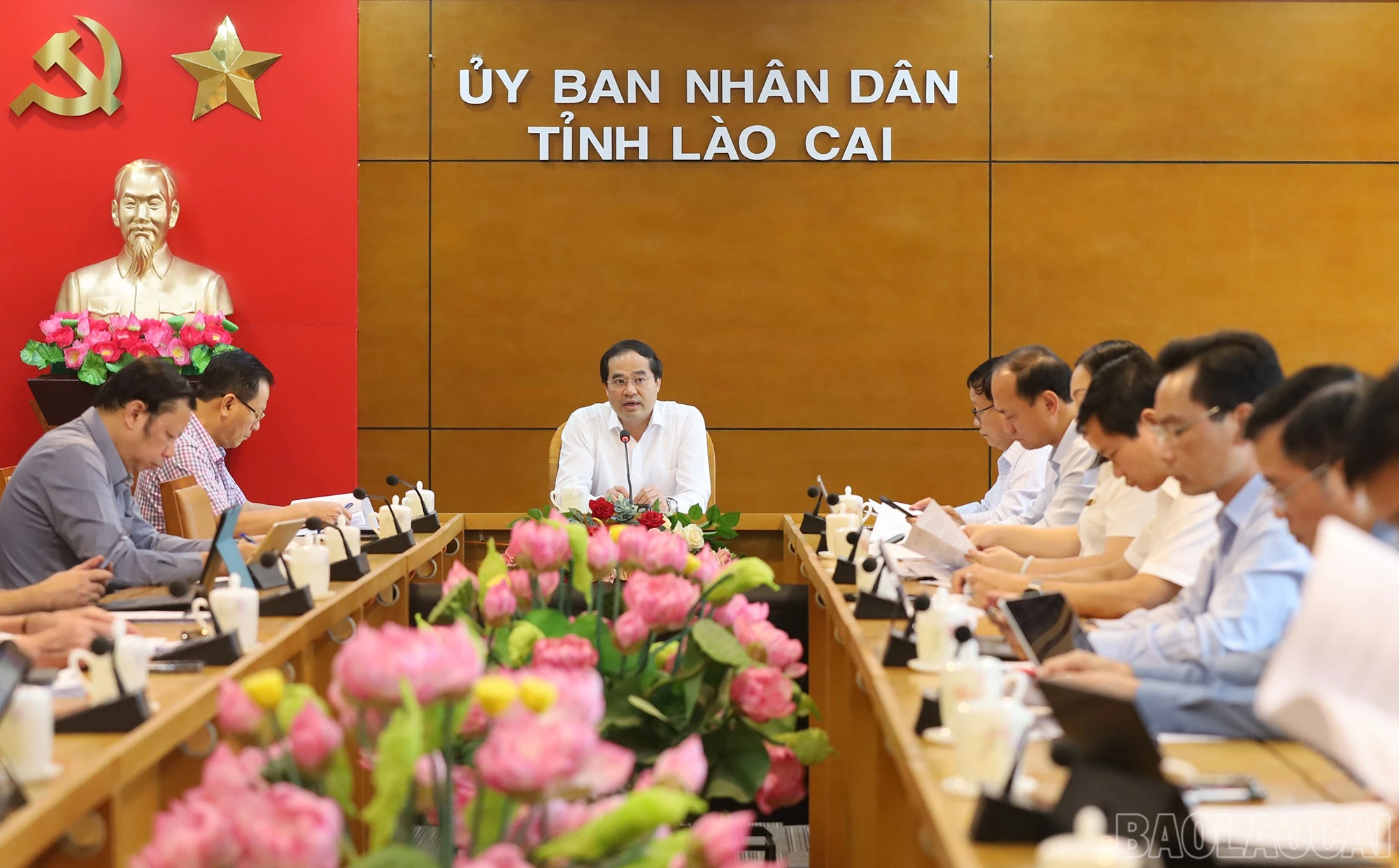 baolaocai-br_tns-3.jpg