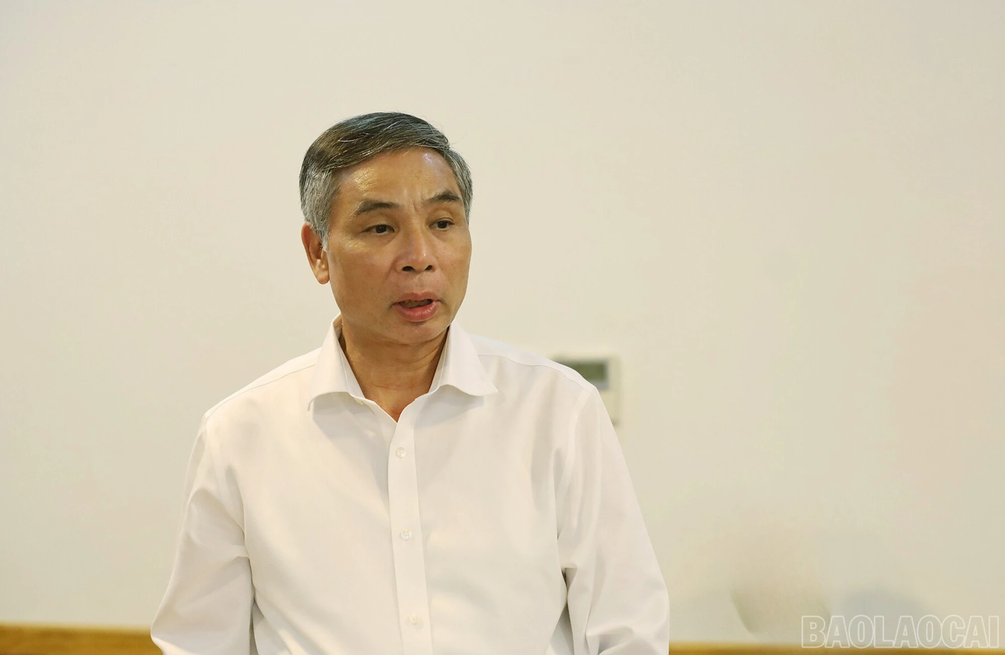 baolaocai-br_tns.jpg