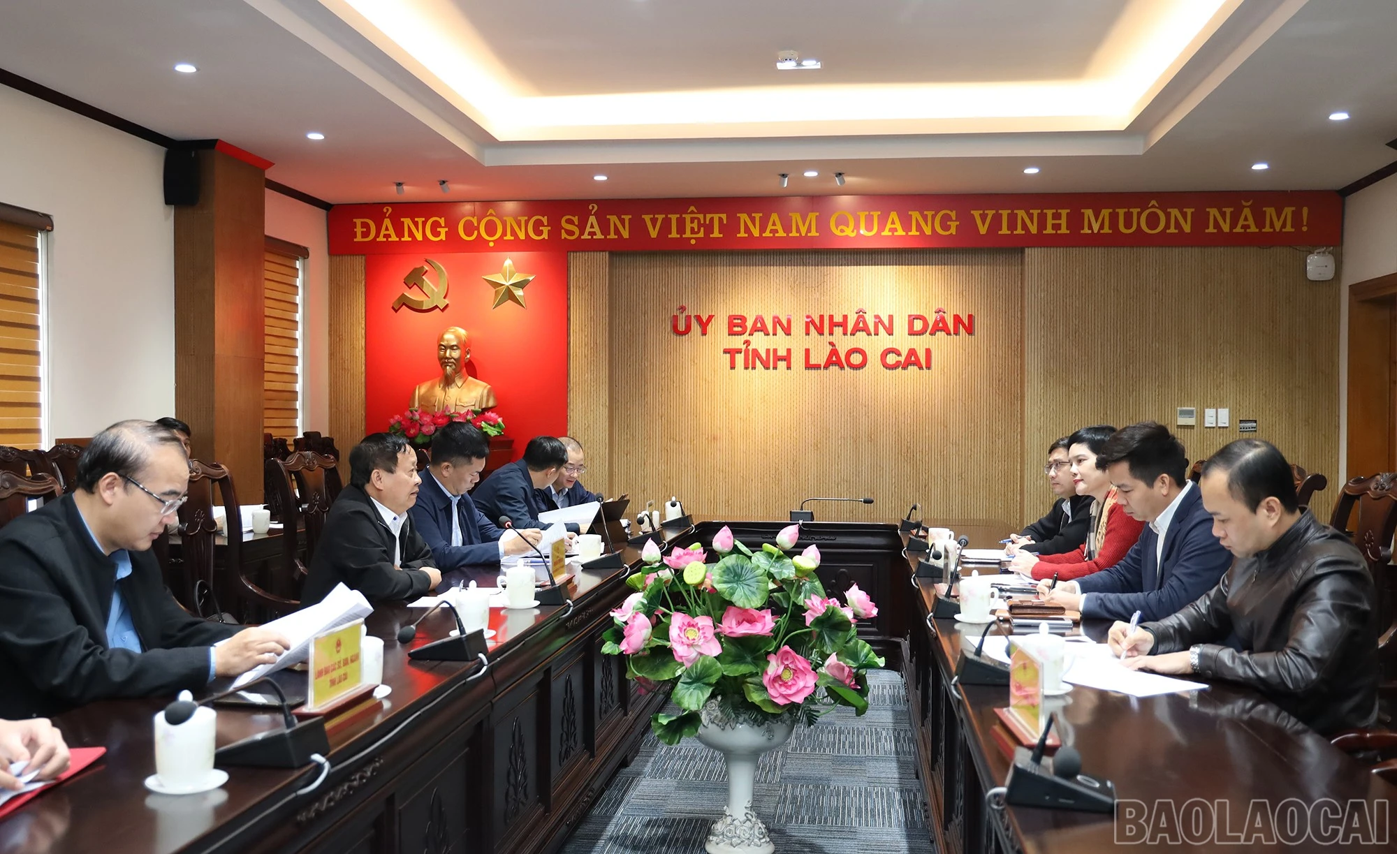 baolaocai-br_img-6369.jpg