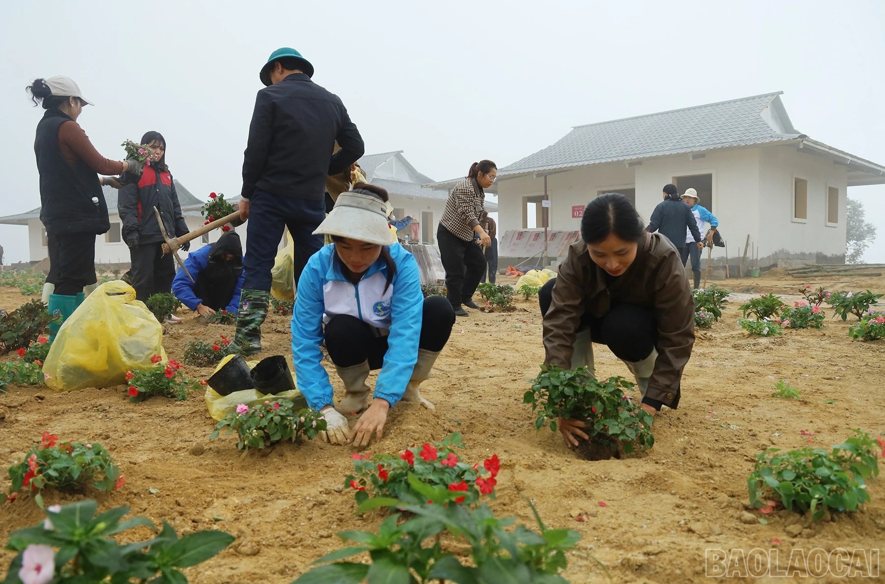 baolaocai-br_img-3870.jpg