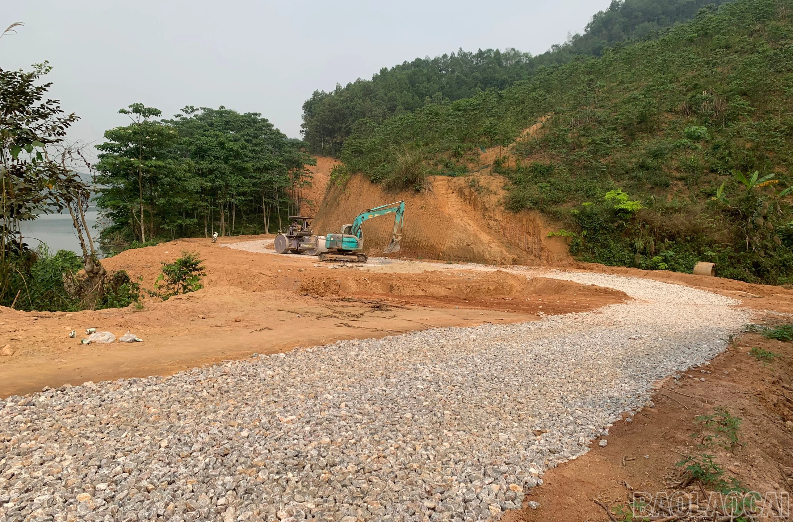 baolaocai-br_gomb-1.jpg