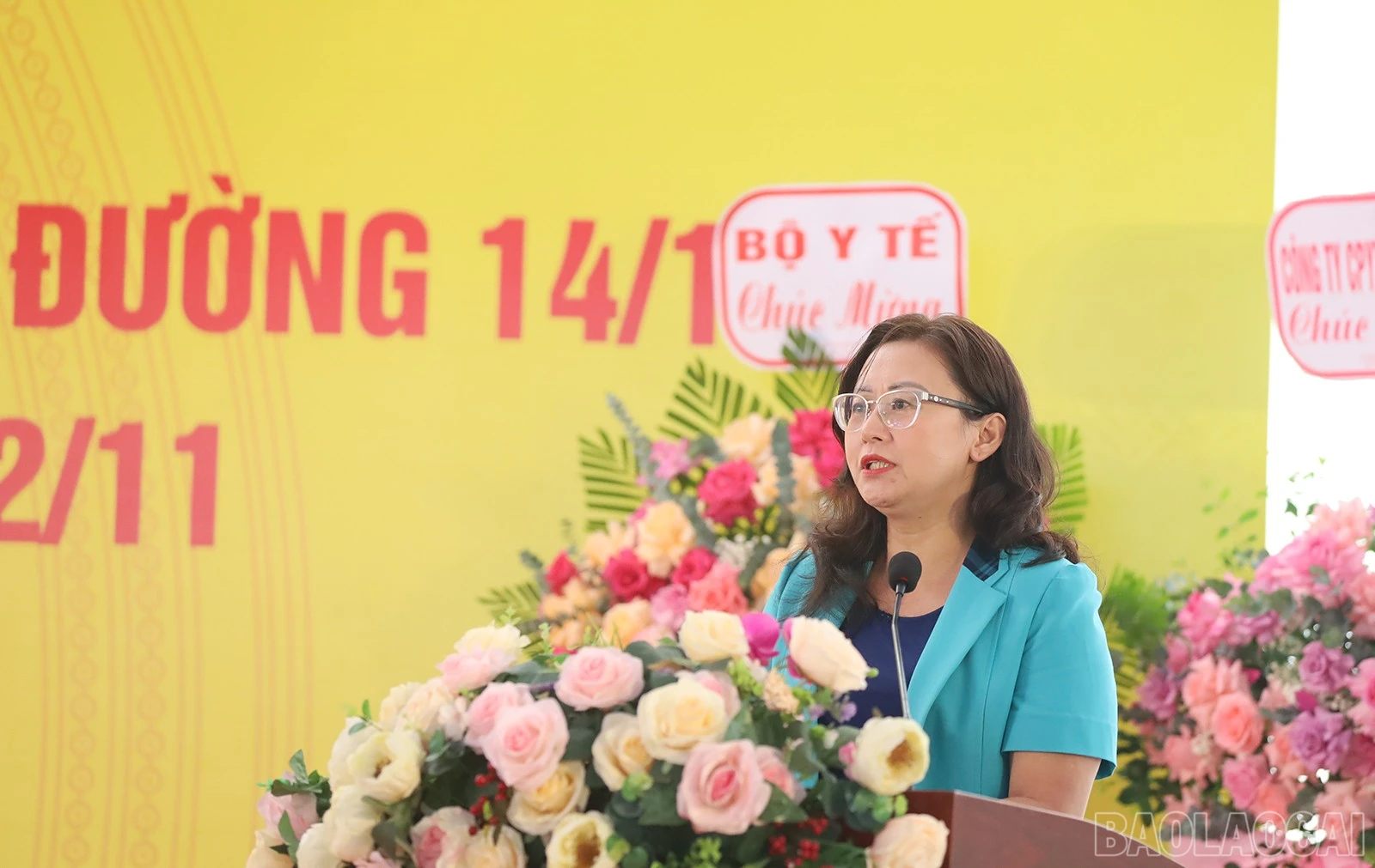 baolaocai-br_img-1667.jpg
