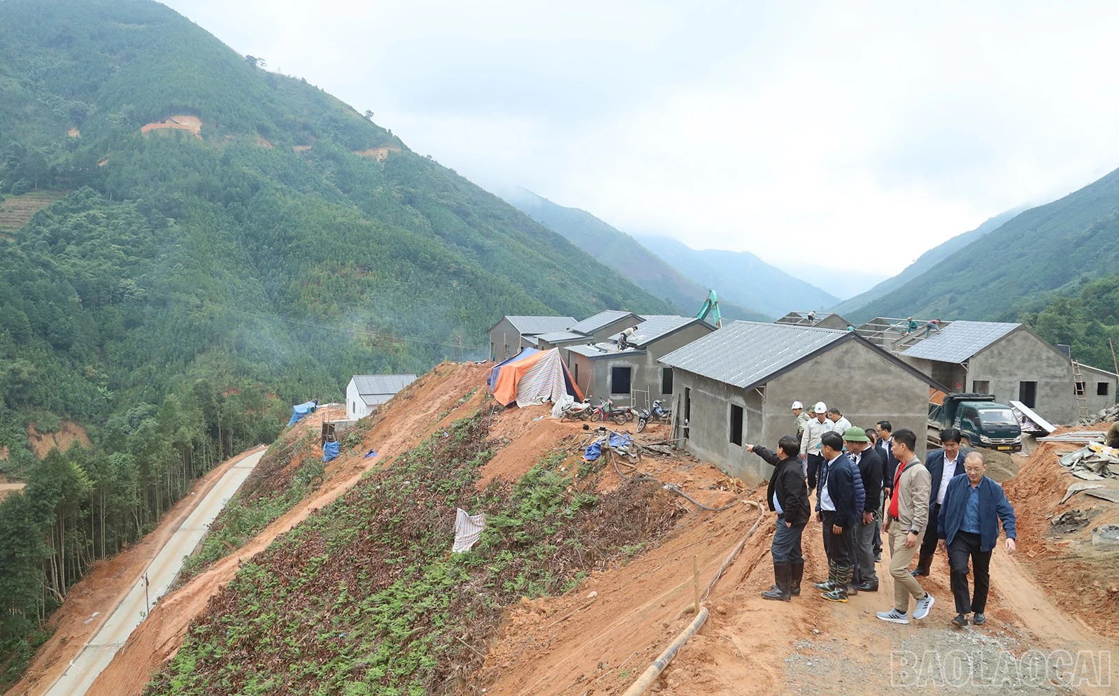 baolaocai-br_img-3778.jpg