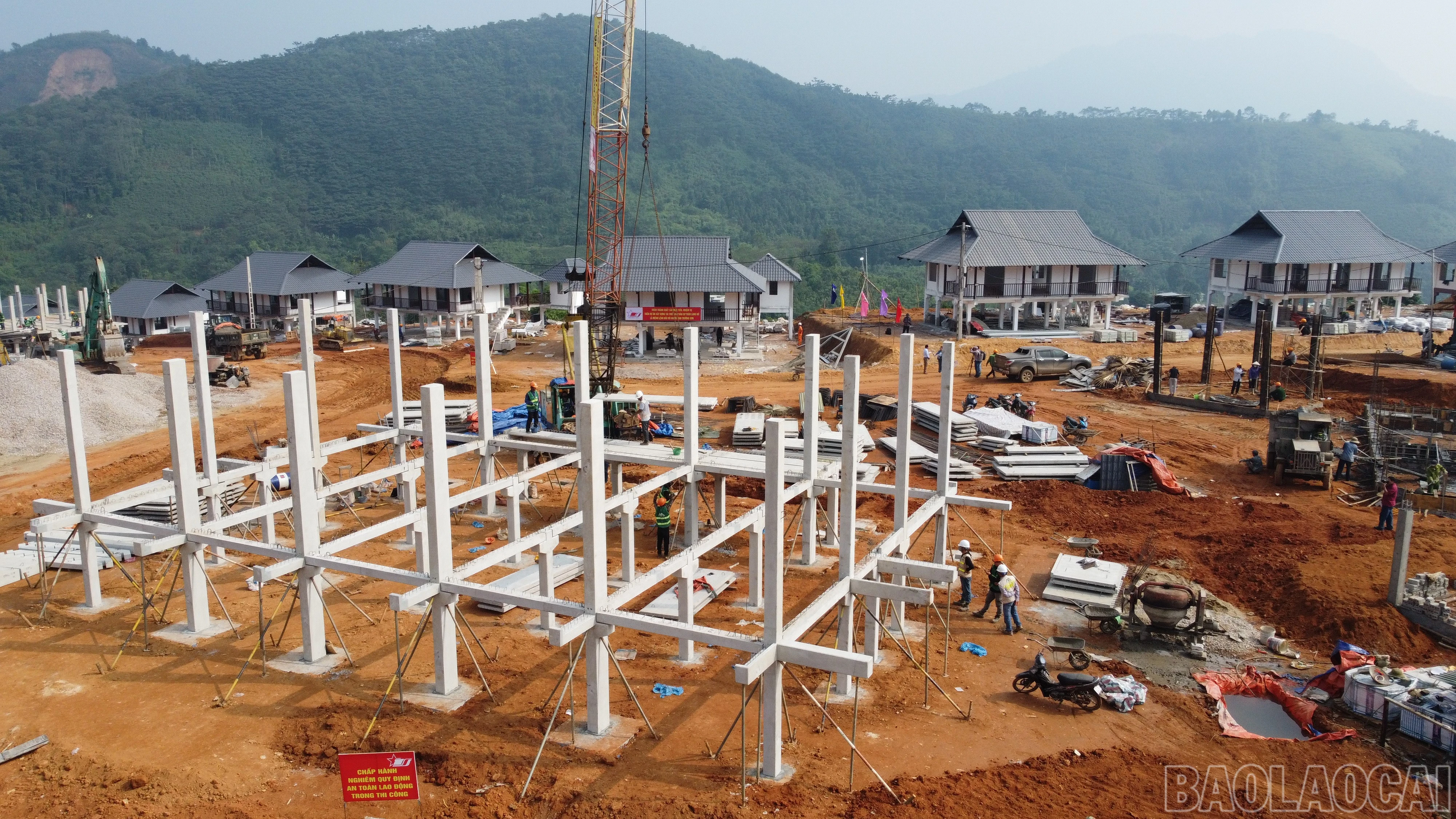 baolaocai-br_dji-0620.jpg