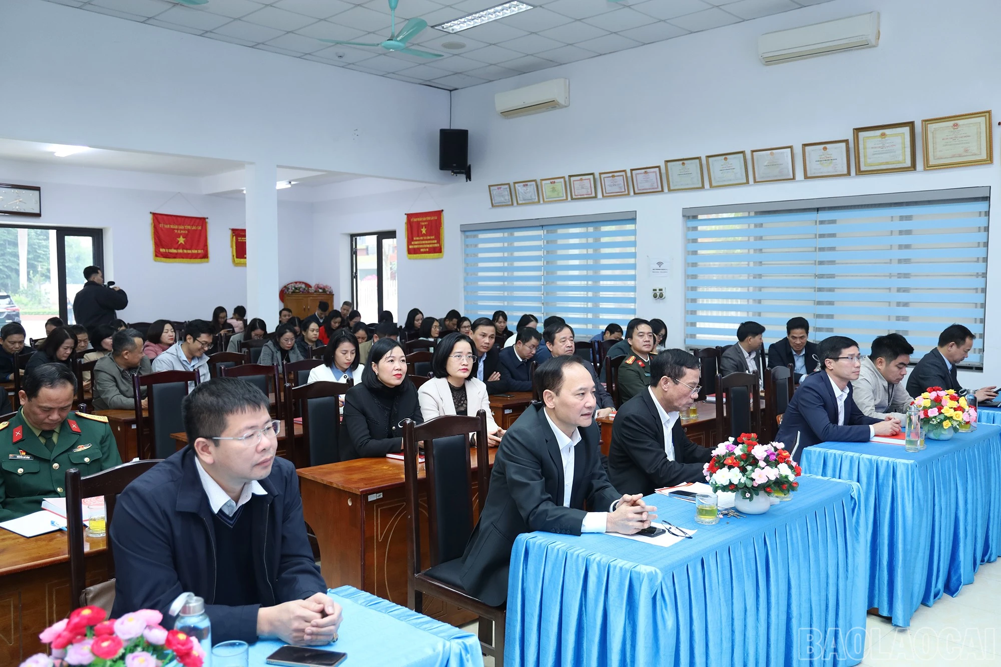 baolaocai-br_img-6697.jpg