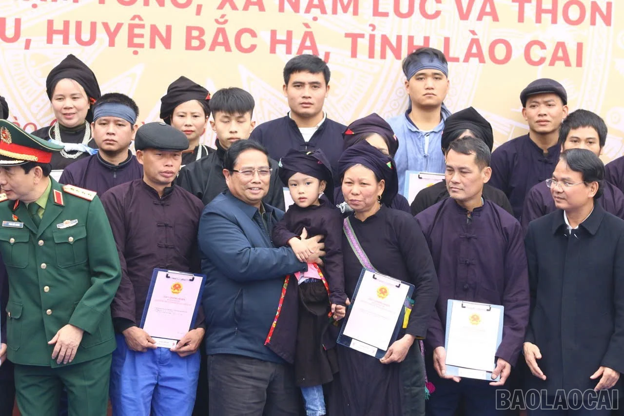 baolaocai-br_ttc-15.jpg