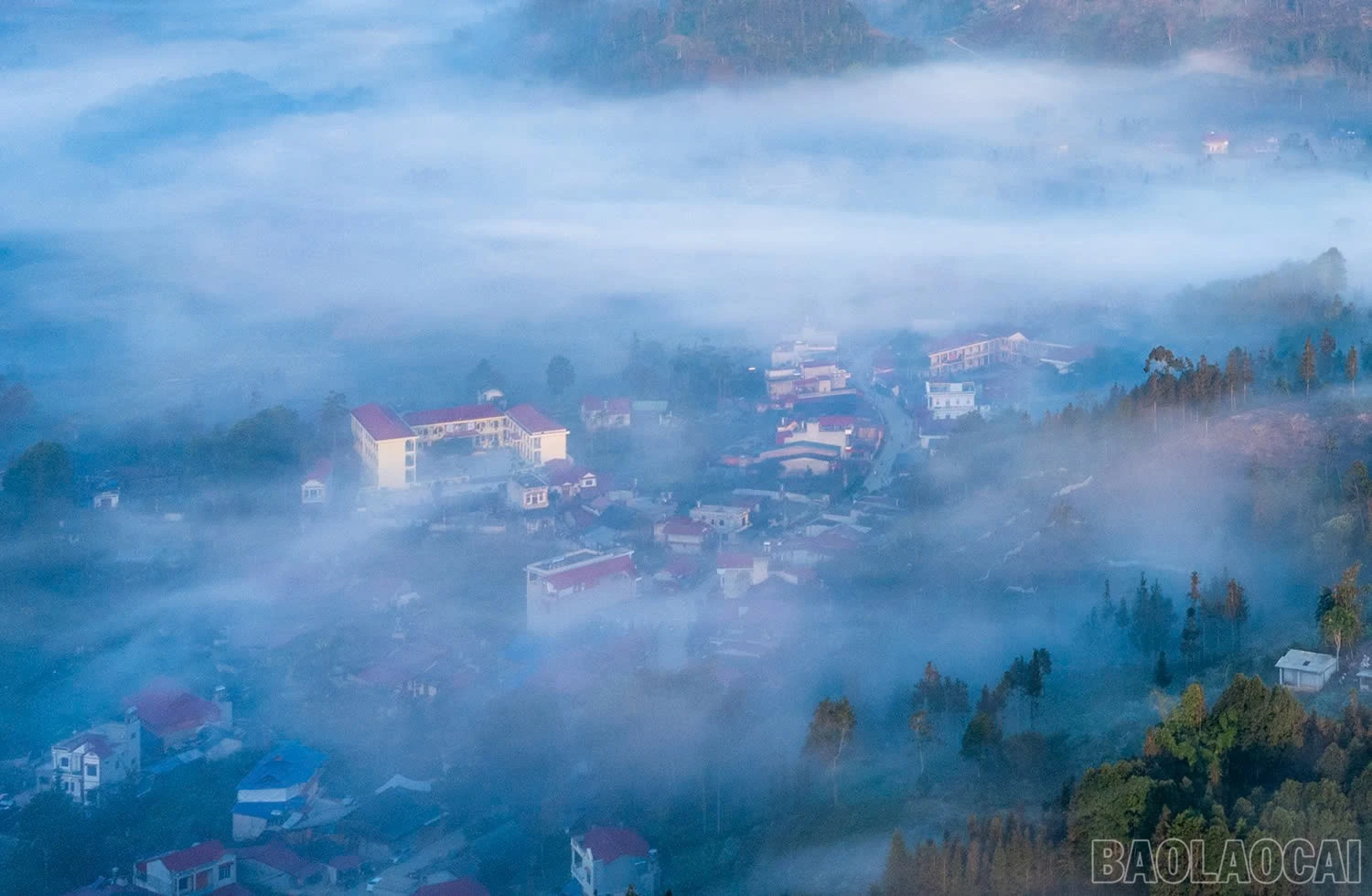 baolaocai-br_1-8.jpg
