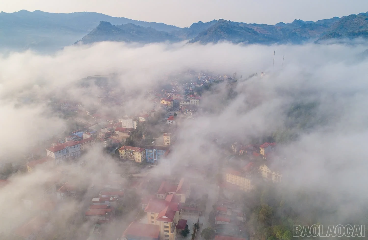 baolaocai-br_1-6.jpg