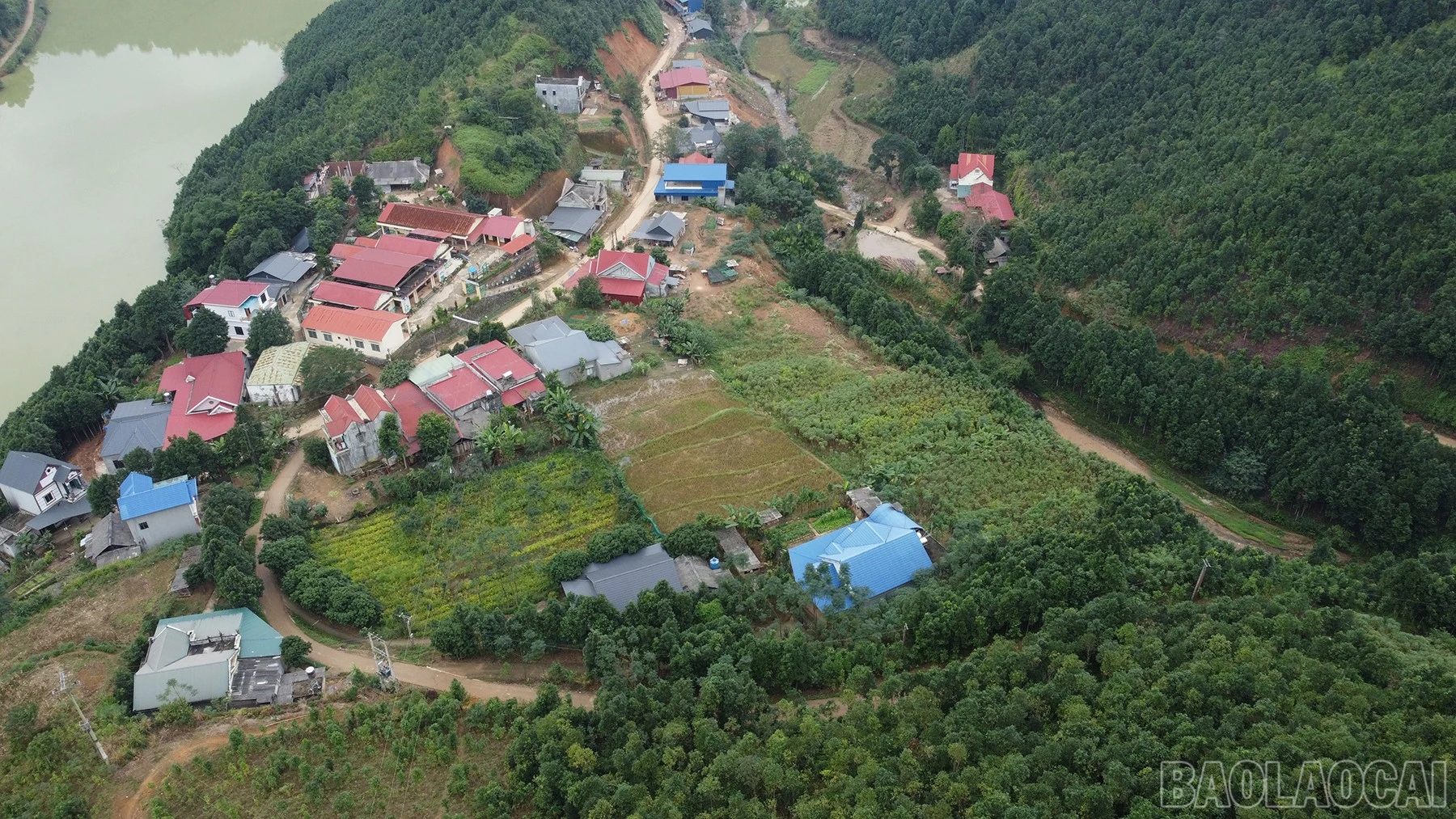 baolaocai-br_dji-0896.jpg