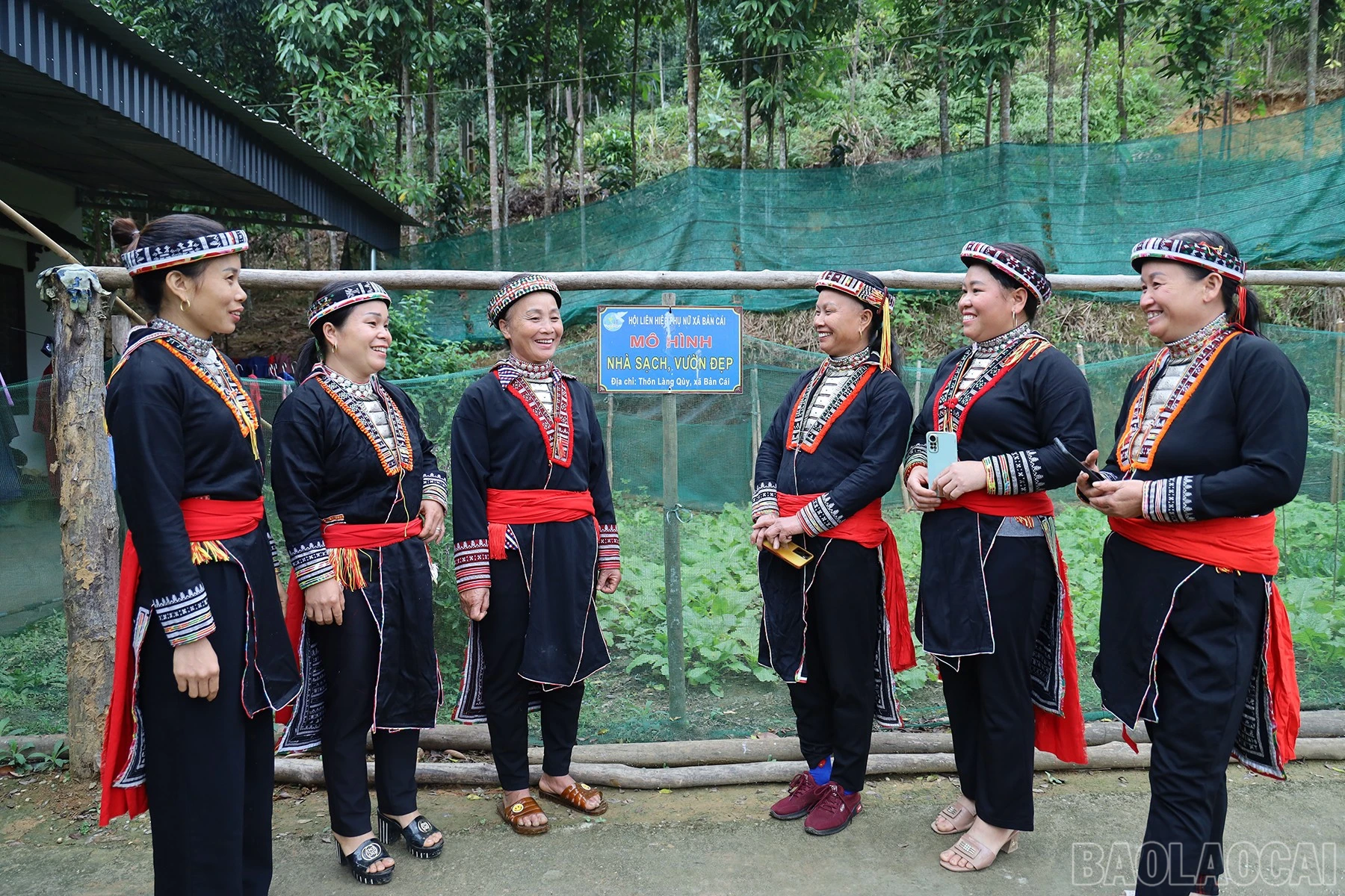 baolaocai-br_img-4378.jpg