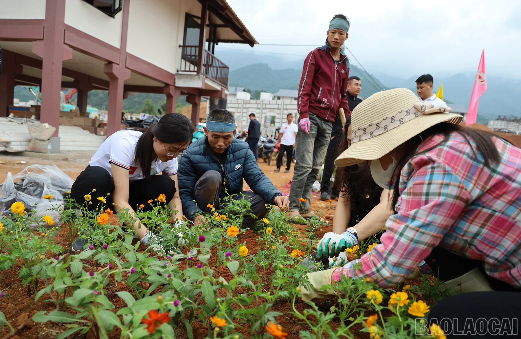 baolaocai-br_img-2369.jpg