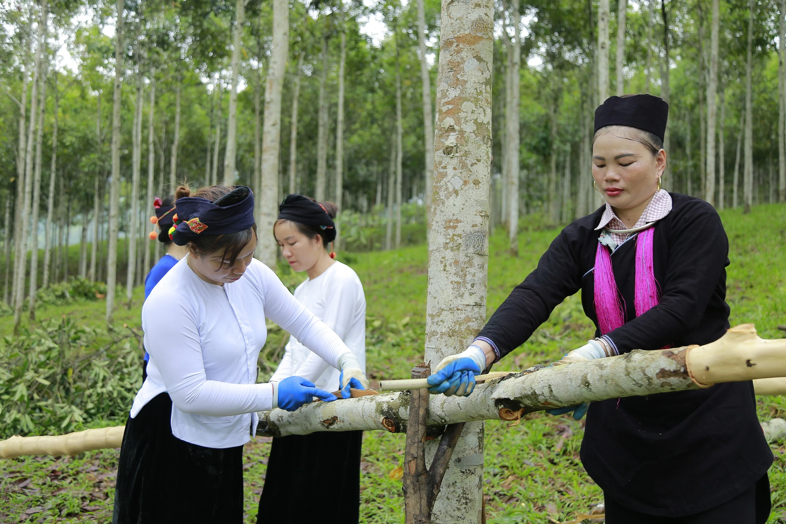 kinh-te-nong-nghiep-tren-dia-ban-huyen-chuyen-dich-tich-cuc-3.jpg