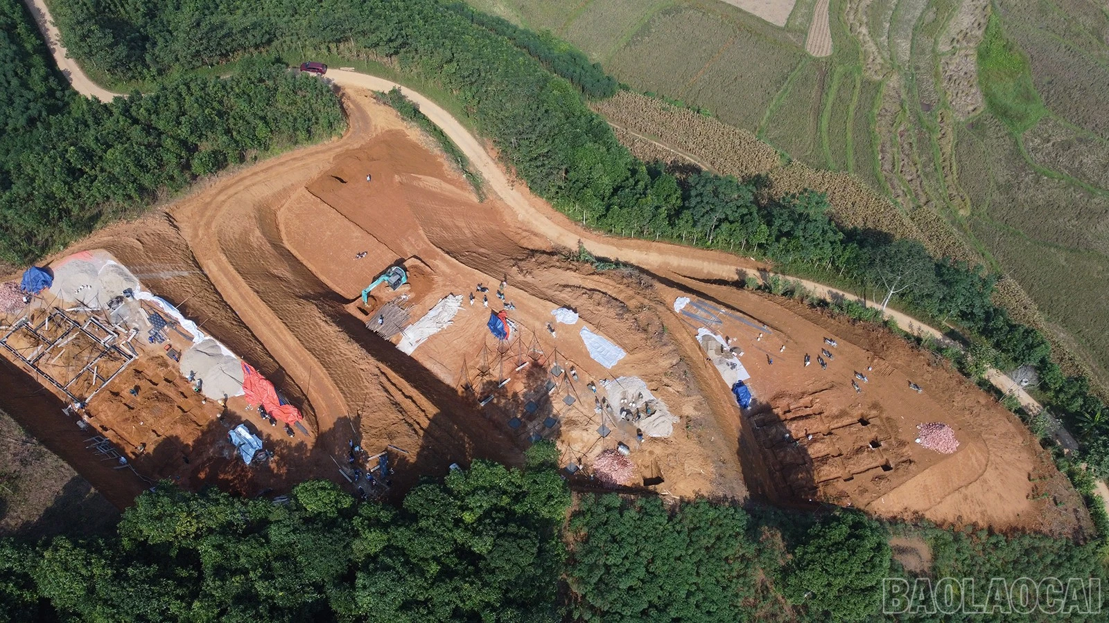 baolaocai-br_dji-0565.jpg