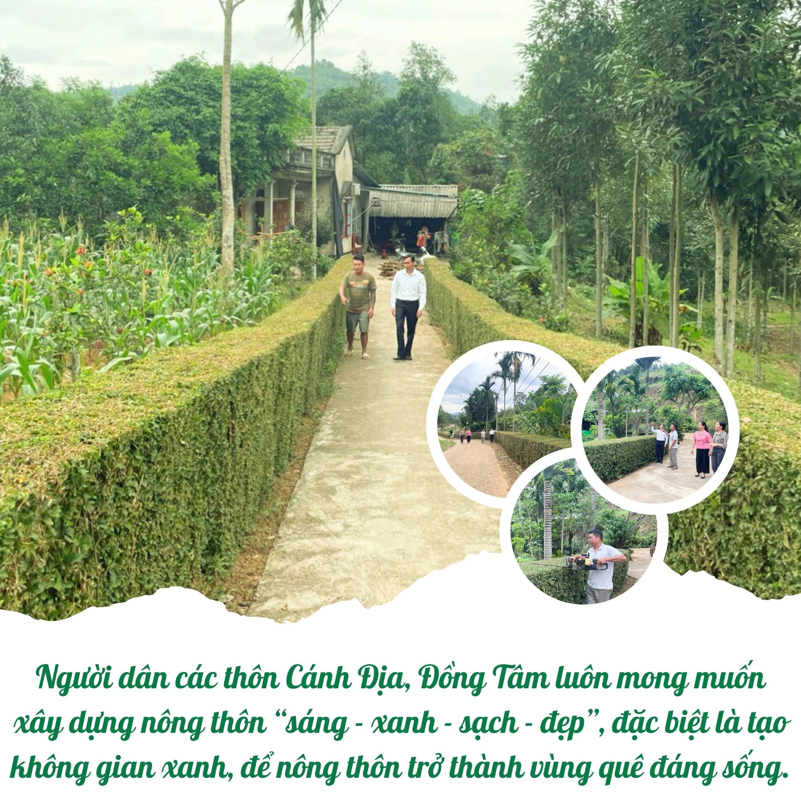 chuan.jpg