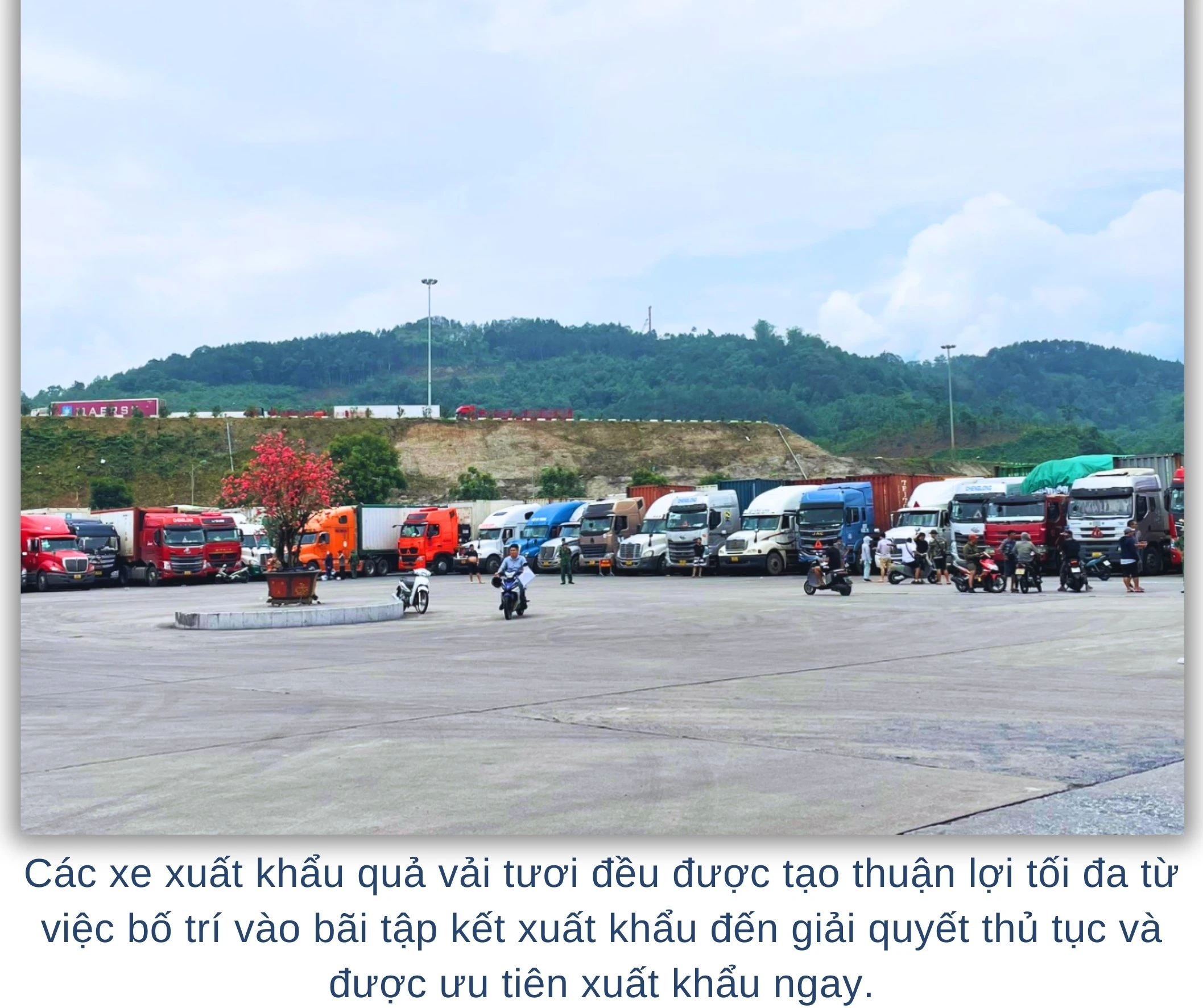 z5458022911714_3f88694092805fbc8de009ccb988cb20.jpg