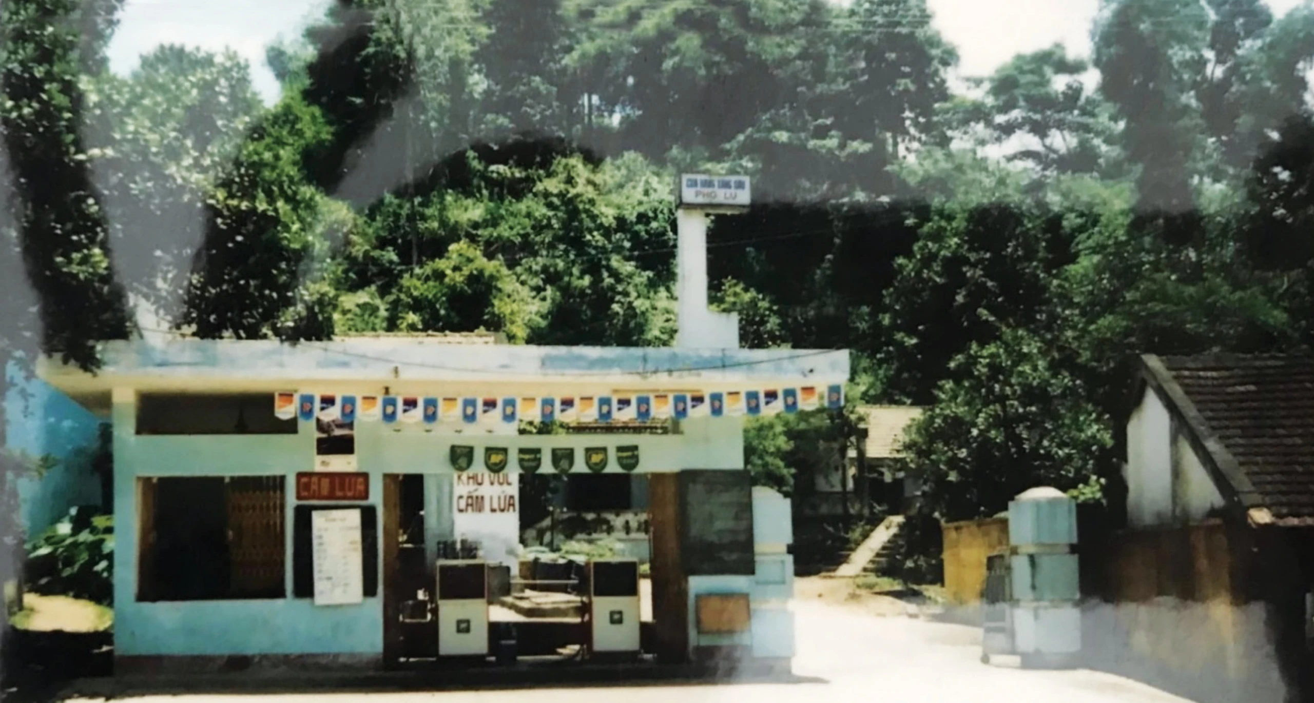 15-7887.jpg