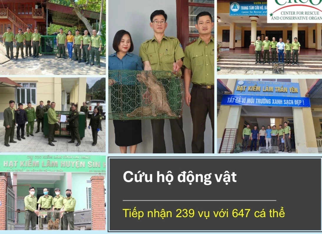 z5644898542623_c9abedb42d4659f49cbe89ddeba574d4.jpg