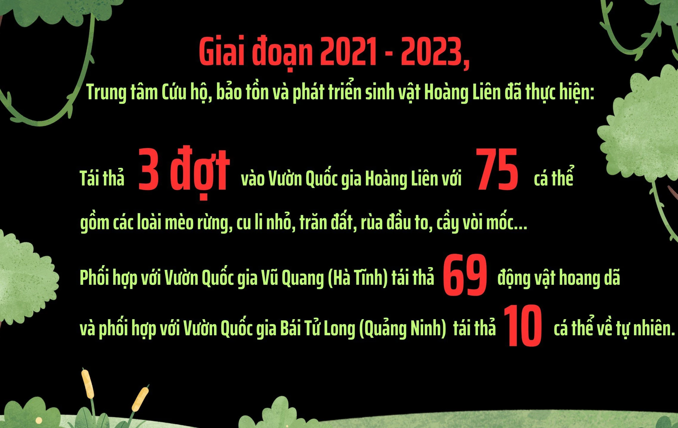 z5211601472940_db54a5caaa567c1e1e558ef95a52c289.jpg
