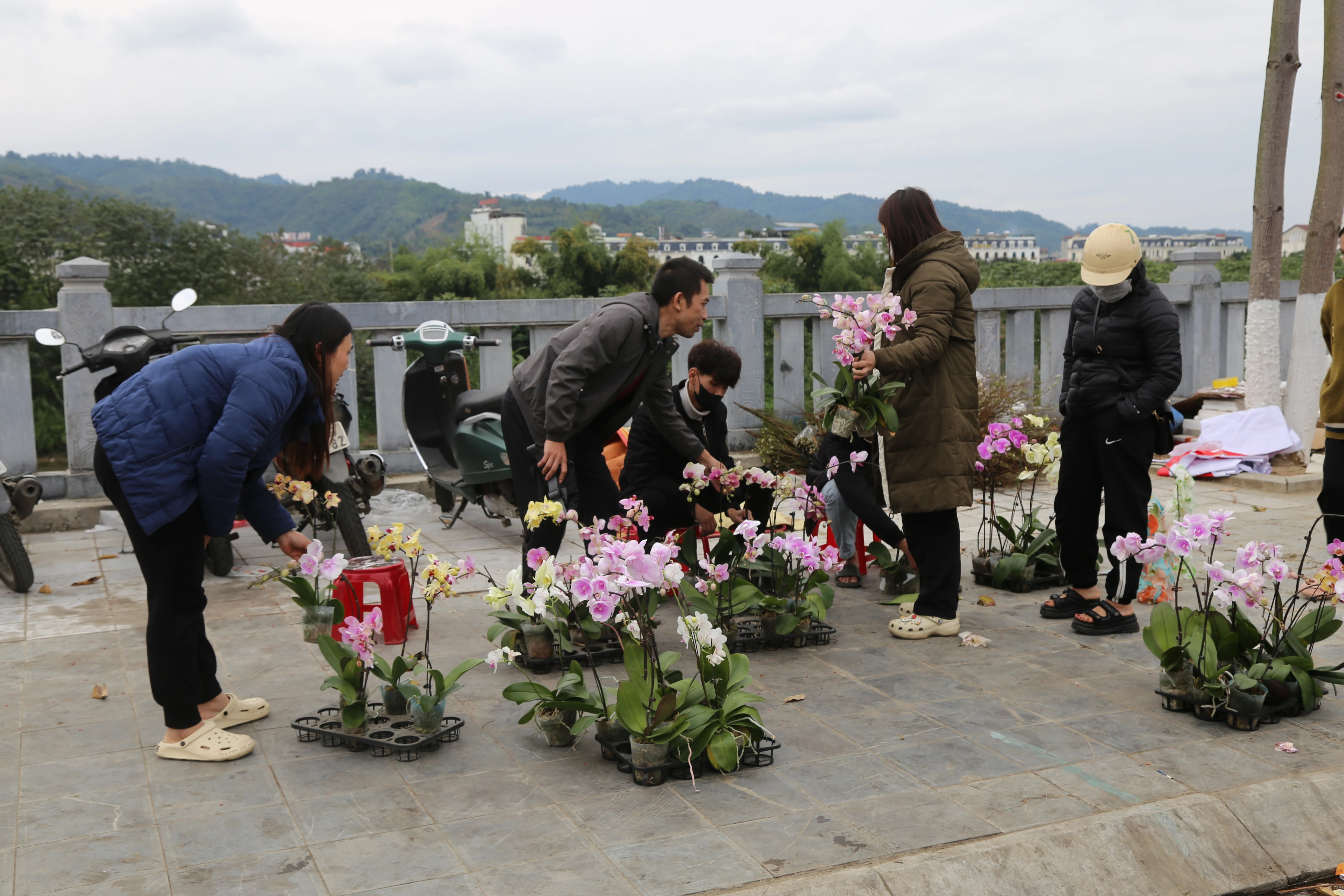 90F50153-AED6-4B99-99AE-501C3A083821.jpeg
