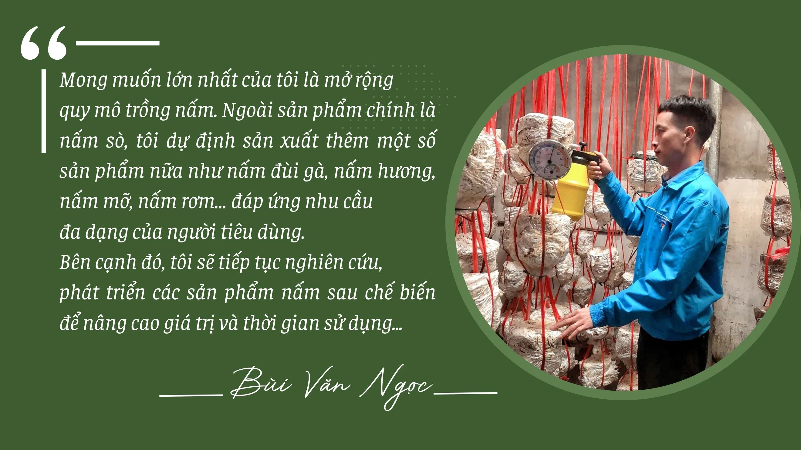 trồng nấm hữu cơ.jpg