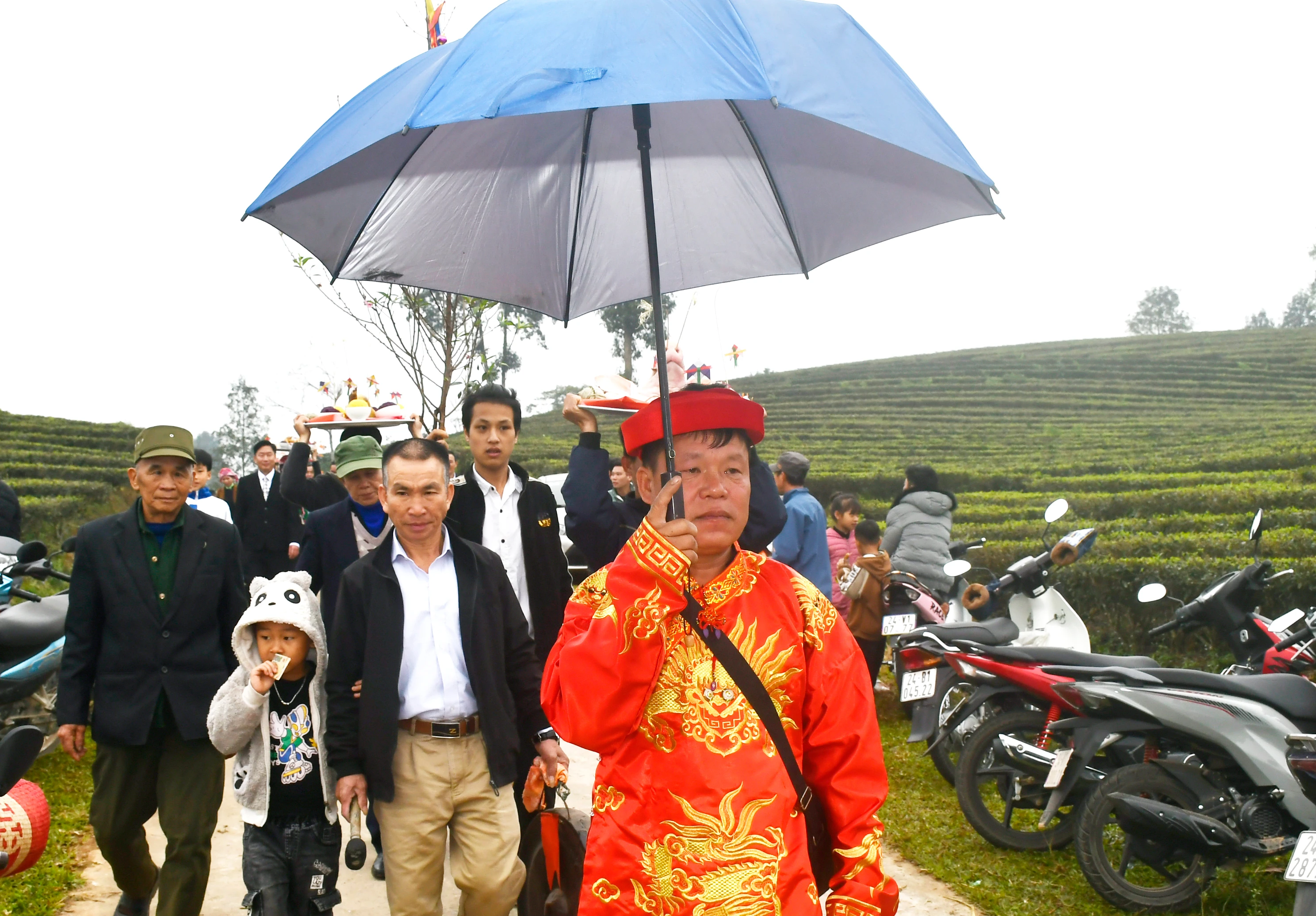 PN1.JPG
