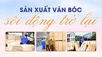 Sản xuất ván bóc sôi động trở lại