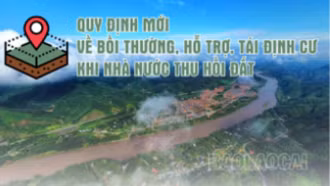 [Infographic] Quy định mới về bồi thường, hỗ trợ, tái định cư khi Nhà nước thu hồi đất