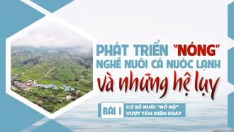 Bài 1: Cơ sở nuôi “nở rộ” vượt tầm kiểm soát