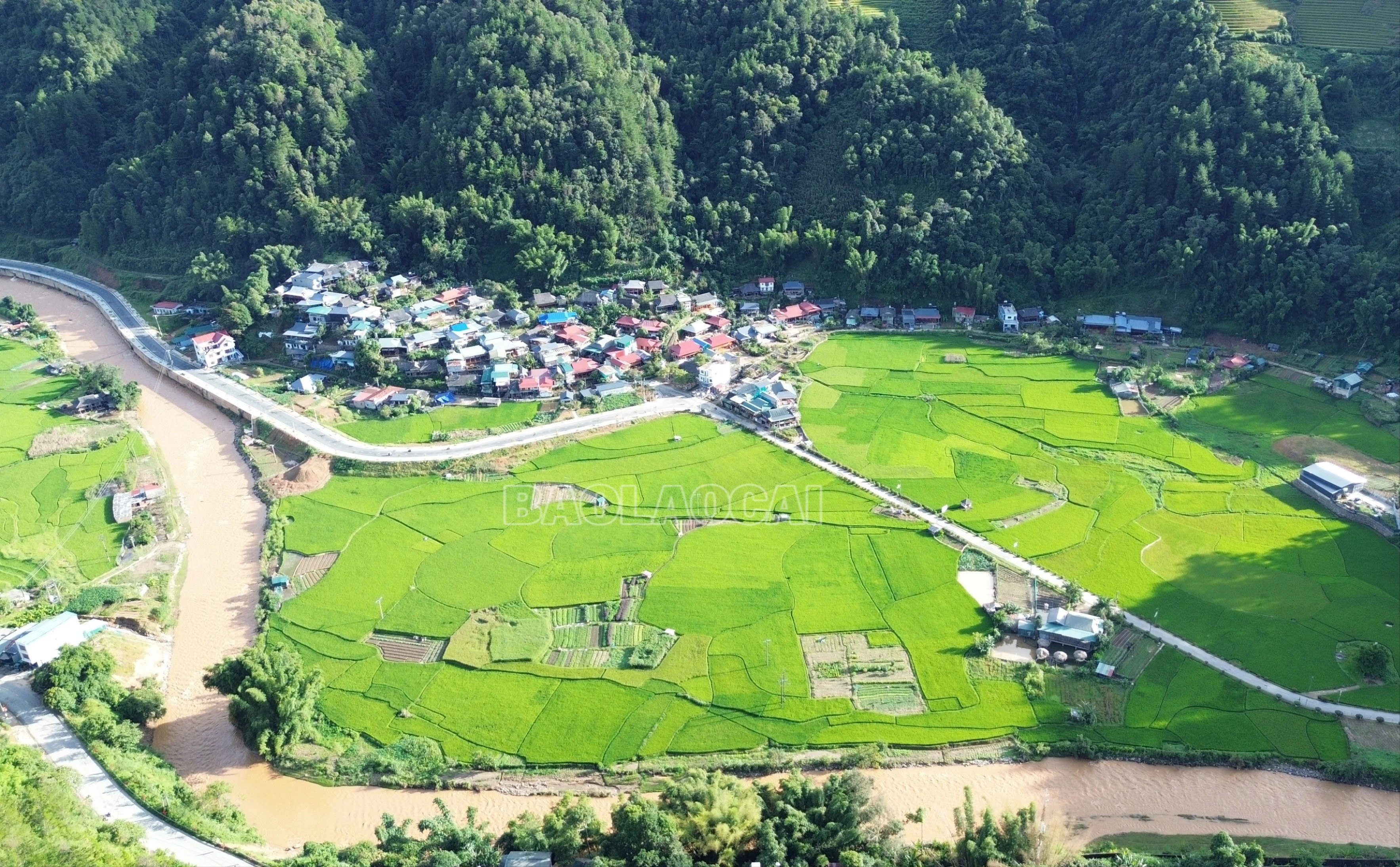 dji-0915-5608.jpg